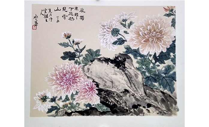 秦水花-水墨花鸟