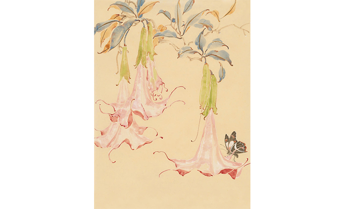 马雁宁  — 重彩花鸟
